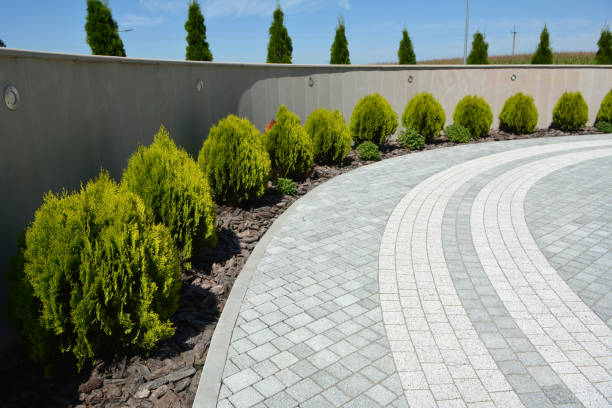 Best Professional Driveway Pavers  in Cologne, NJ